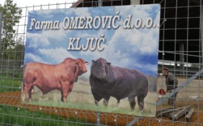 „Farma Omerović“ d.o.o. Ključ – uzgoj goveda na savremen način